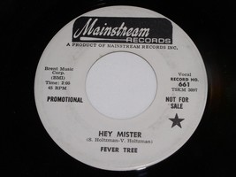 Fever Tree Hey Mister I Can Beat Your Drum 45 Rpm Mainstream 661 Promo VG++/NM - £157.37 GBP