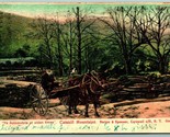 Ye Automobile of Olden Times Catskill Mountains NY New York 1914 DB Post... - $8.87