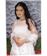 Bollywood Actor Star Amisha Patel Rare Original Poster 21 inch x 33 inch... - $49.99