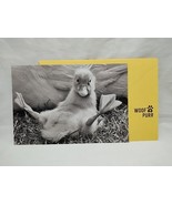 Hallmark Shoebox Get Well Soon Greeting Card With Envelope 5&quot; X 7&quot; - €7,56 EUR