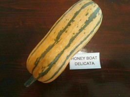 Honey Boat Delicata Pumpkin - 5+ seeds - (C 038) - £1.80 GBP
