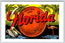 Postcard Florida Greetings Orange Flamingo Pelican Palm Trees - £3.59 GBP