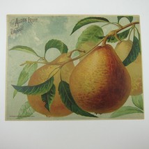 Victorian Trade Card LARGE Alden Fruit Vinegar Pears AL Higley NY Antique 1883 - £23.69 GBP