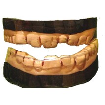 Flexible Rotting ZOMBIE PIRATE DENTURES Monster Horror Teeth Costume Acc... - $4.72