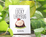 Lucky Ladybug (Gimmicks and Online Instructions) by by Joshua Ray &amp; Deuc... - $19.75
