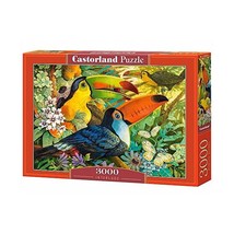 Castorland Carbon 3004332Interlude 3000Piece Jigsaw Puzzle  - $67.00