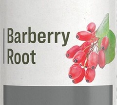 BARBERRY ROOT - Healthy Digestion Skin &amp; Immune Support Bitter Tonic USA - $24.97