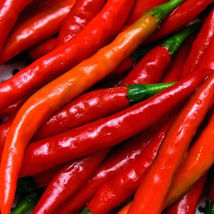 30 Seeds Cayenne Long Thin Pepper Non GMO - £7.75 GBP