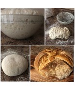 S0URDOUGH STARTER yeast bread flour mix San Francisco BEAST+ REClPES @ z - £7.17 GBP