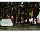 Camp Curry Yosemite Valley California CA DB Postcard U16 - $7.08