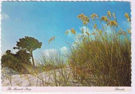 Florida Postcard Along The Miracle Strip Redneck Riviera To Emerald Coast - £1.72 GBP