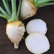 500+ Gilfeather Rutabaga Seeds for Garden Planting  SS - £7.21 GBP