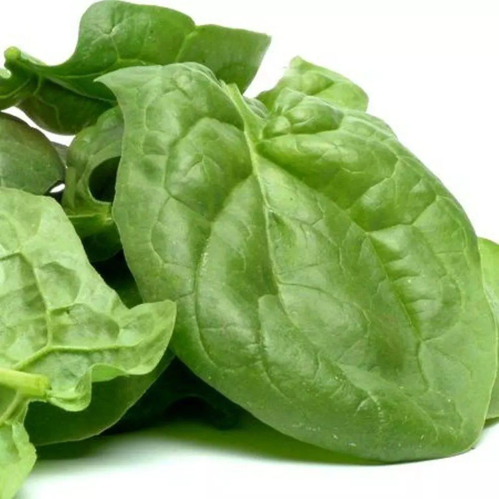 KingStore 100 Seeds Viroflay Spinach Heirloom Garden - £7.14 GBP