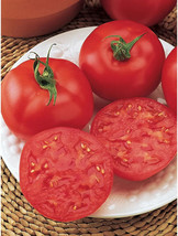 Best 50 Seeds Easy To Grow Red October Tomato Hybrid Vegetable Tomatoe Grow - $8.79