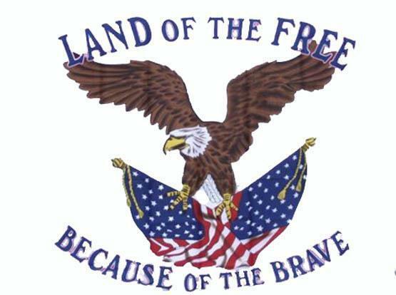LAND OF THE FREE EAGLE 3X5 FLAG 3 X 5  NEW FL690 wall hanging BECAUSE OF... - $6.60