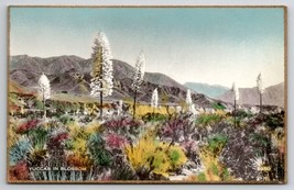 Yucca&#39;s In Bloom CA Fred Martin Hand Colored Gilded Photo Postcard I30 - £10.23 GBP