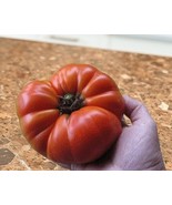 Katja Tomato Seed- Heirloom Early Large Pinkish Beefsteak 60 Day Semi-De... - €2,85 EUR+