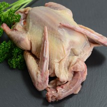 Whole All-Natural Squab - 1 squab, 13-15 oz - £24.26 GBP