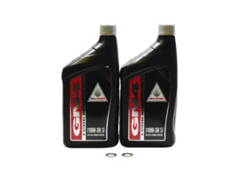 2006-2020 Honda Sportrax 250 TRX250EX EX SE 2x4 OEM Oil Change Kit H34 - £25.05 GBP