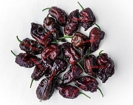 USA Seller 10 Chocolate Carolina Reaper Pepper Worlds Hottest Capsicum Chinense  - £11.43 GBP