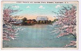 Postcard Washington DC Washington Lincoln Memorial &amp; Japanese Cherry Blossoms - £1.09 GBP