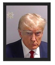 President Donald Trump Digitally Enhanced Mugshot Framed 8X10 Photo Reprint - £15.71 GBP