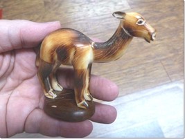 (tne-cam-455) baby Camel desert TAGUA NUT nuts palm figurine carving dro... - $27.20