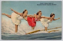 Water Ballet At Cypress Gardens Florida Postcard G39 - £3.82 GBP