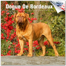 Dogue de Bordeaux Wall Calendar 2024 Animal DOG PET Lover Gift - £19.45 GBP