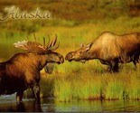 Moose Largest Member of the Deer Family Alaska Postcard PC576 - $4.99