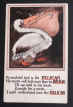 A Wonderful Bird is the Pelican Humor Funny Comic Postcard c1910s England - £7.86 GBP