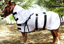 Miniature Weanling Donkey Pony Horse Foal Summer FlySheet White Blanket ... - $49.99