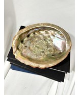Vintage 60s California Red Abalone Shell Polished Large 8&quot; x 6” - $82.28
