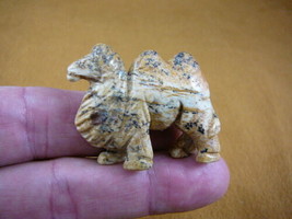 (Y-CAM-563) little tan CAMEL camels gemstone STONE carving FIGURINE drom... - $14.01