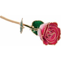 24k Gold Dipped Cream Red Lacquer Real Rose Valentine&#39;s Day Holiday Gift - £77.50 GBP