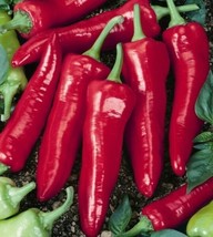 Seeds 25 Big Jim Hot Pepper Capsicum Annuum Vegetable Heirloom - £6.52 GBP
