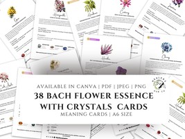 Bach Flower Cards with Crystals, Bach Flower Essence Crystal, Aromatherapy  - $10.00