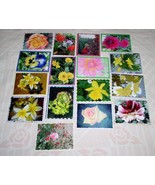 Flower Greeting Note Card Lot Of 16 Hand Crafted Custom 5.5 X 4.5 Blank ... - $24.99