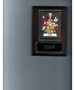 EGAN COAT OF ARMS PLAQUE FAMILY CREST GENEALOGY ASK FOR YOUR NAME - £3.15 GBP