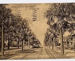 Ave of Palms Street Car Jacksonville FL Postcard 1911 - $9.90