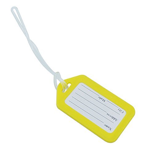 Bluemoona 10 pcs - Rigid Secure Plastic Travel Luggage Address ID Label Tag Hold