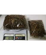 Mimosa Pudica DRIED ROOT Herbs, LAJWANTI  ROOT 100gram - $22.50