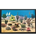 1950&#39;s to 1970&#39;s Postcards - Arizona Cacti - £2.94 GBP