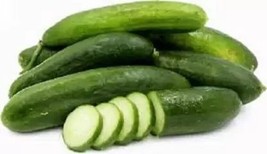 25+ Oregon Cucumbers Seeds 8&quot; Long Garden Cucks Easy Growing Vegetables Pickling - £10.81 GBP