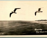 RPPC Seagulls Velocità Way Lungo Spiaggia Washington Wa Cartolina H3 - $10.20
