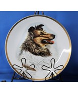 Collie Dog Vintage Decorative Ceramic Plate Gold Rim Made in Japan - £6.57 GBP