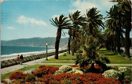 Palisades Park Santa Monica CA Postcard PC541 - £3.94 GBP