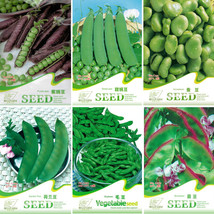 BELLFARM Purple Sweet Pea Broad Bean Green Soy Bean Brownbean Bonsai Vegetables  - $5.67