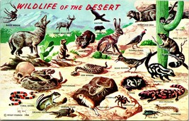 Vtg Chrome Postcard 1958 Wildlife fo the Desert Wildlife Petley Studios UNP  - £3.12 GBP