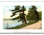 Beautiful Drive Along Harvey&#39;s Lake Pennsylvania PA UNP DB Postcard T2 - $6.88